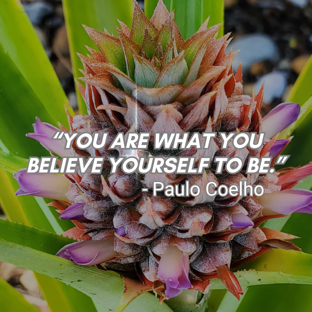 Quantum Alchemist Life Principles for a Better Daily Routine