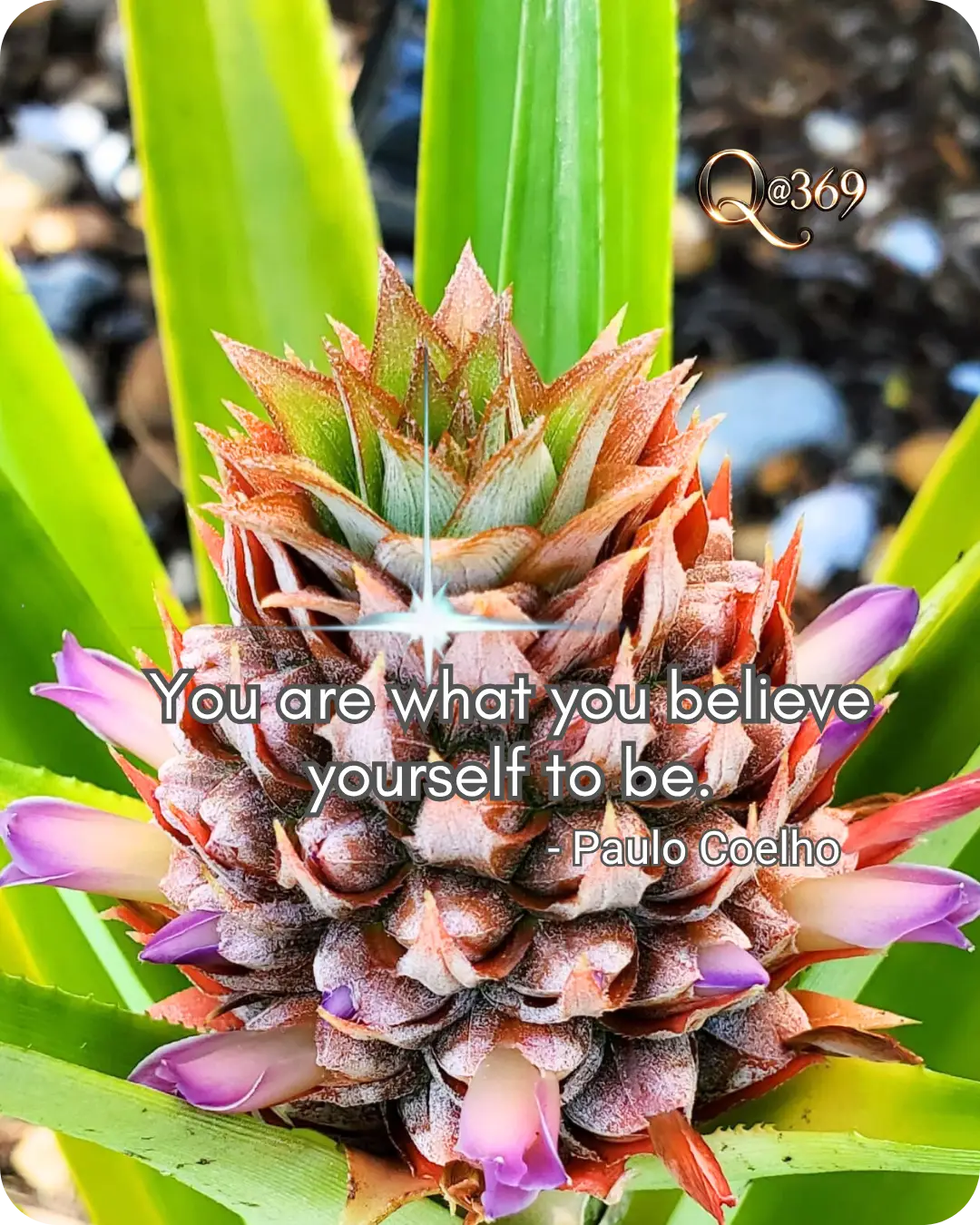 Quantum Alchemist Life Principles for a Better Daily Routine