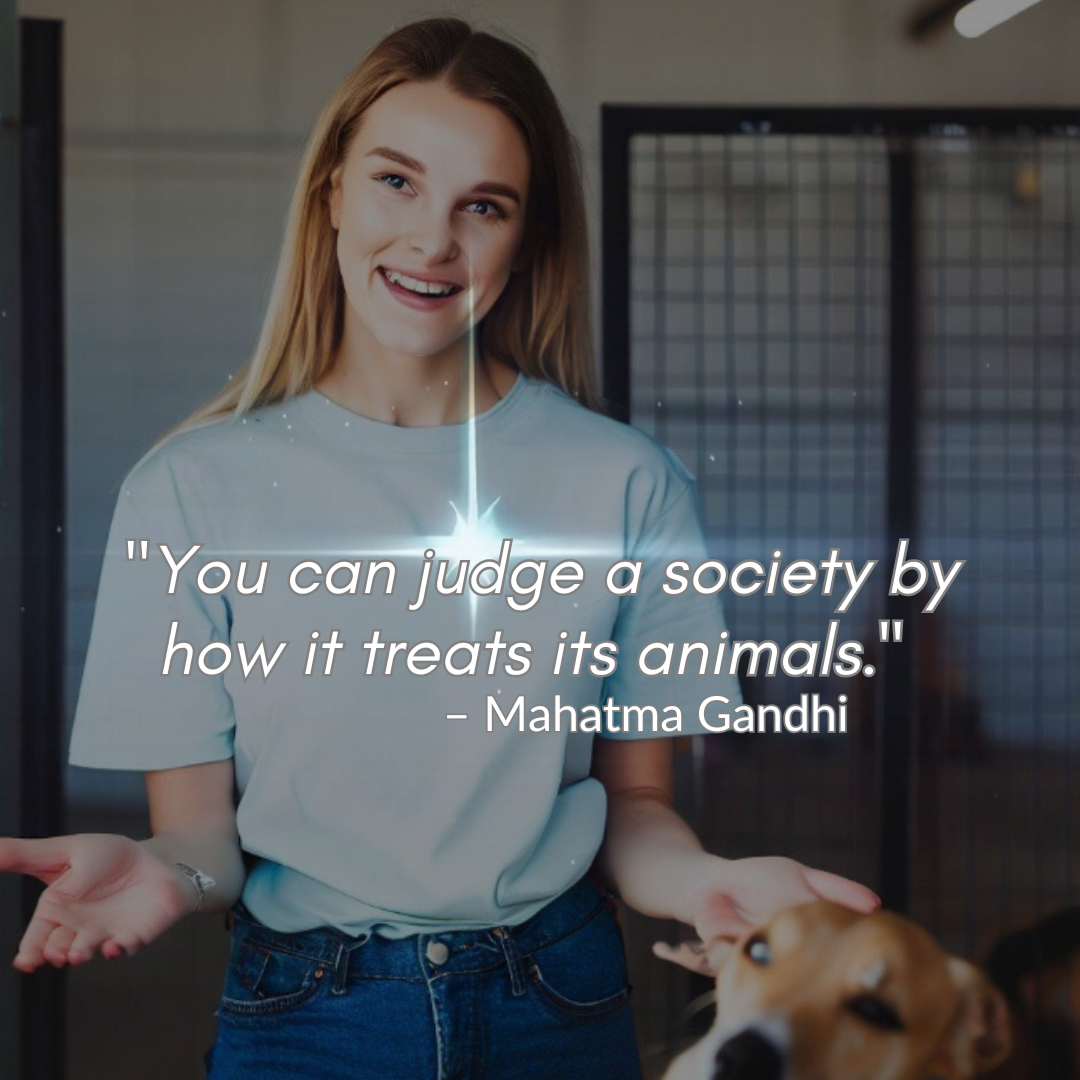 Paw Prints of Love: How Volunteering at the Dog Shelter Brings Joy