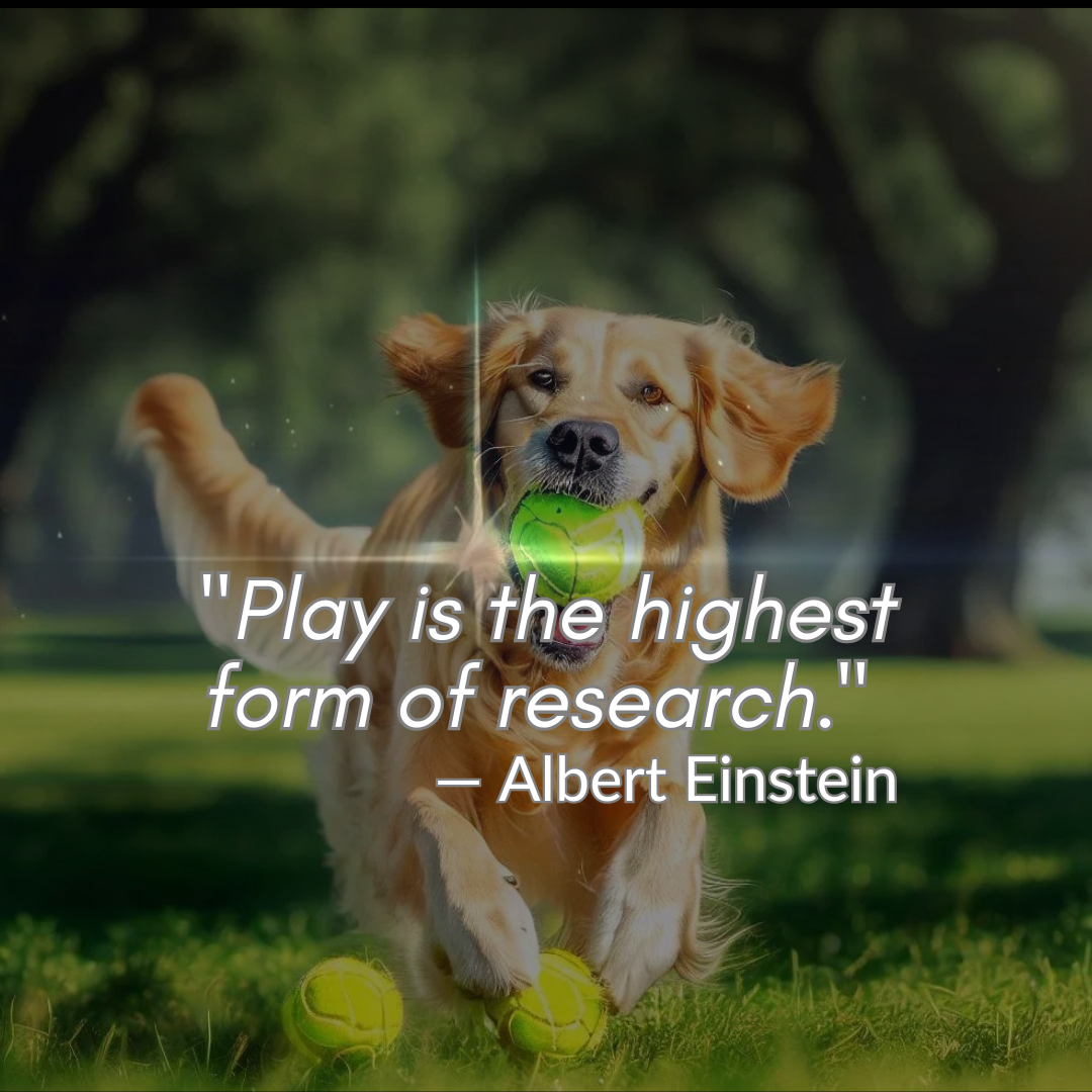 The Quantum of Play: Finding Happiness in the Simple Things